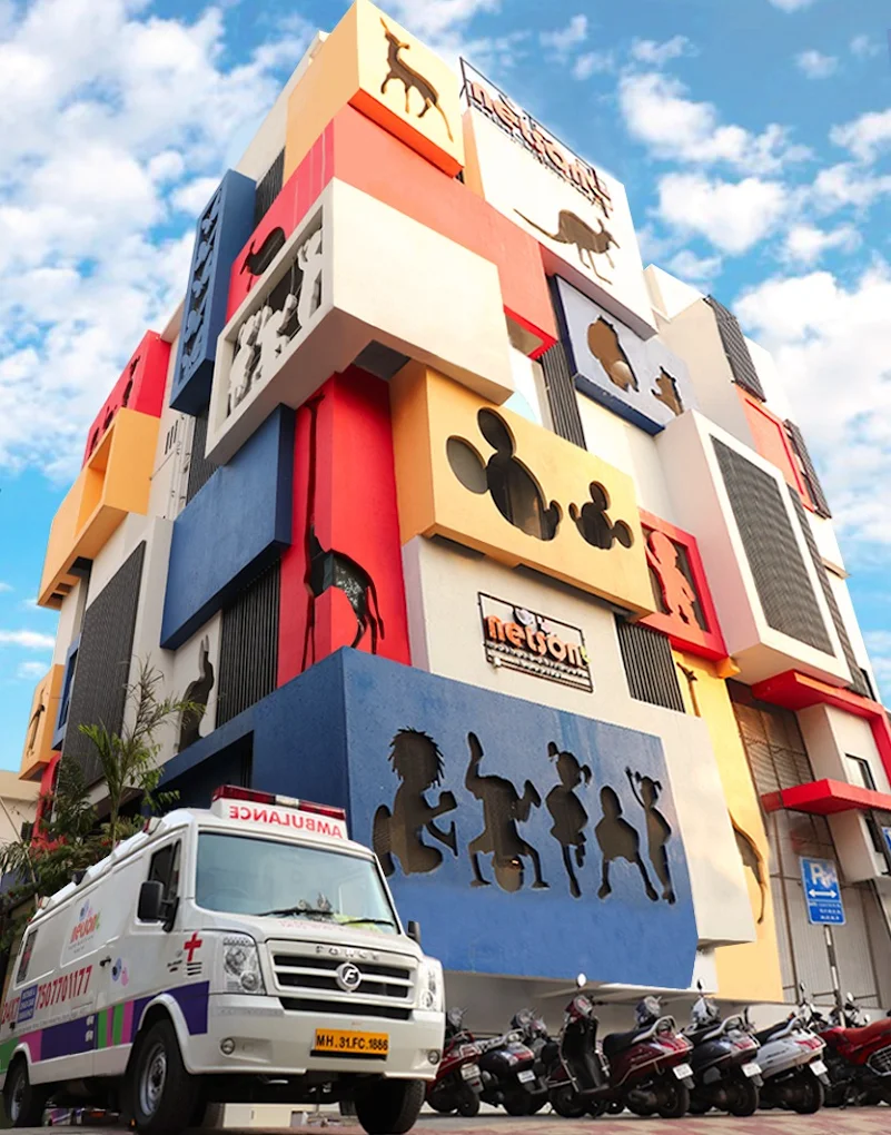 Nelson Hospital logo